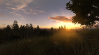 S.T.A.L.K.E.R. Anomaly screenshot 10