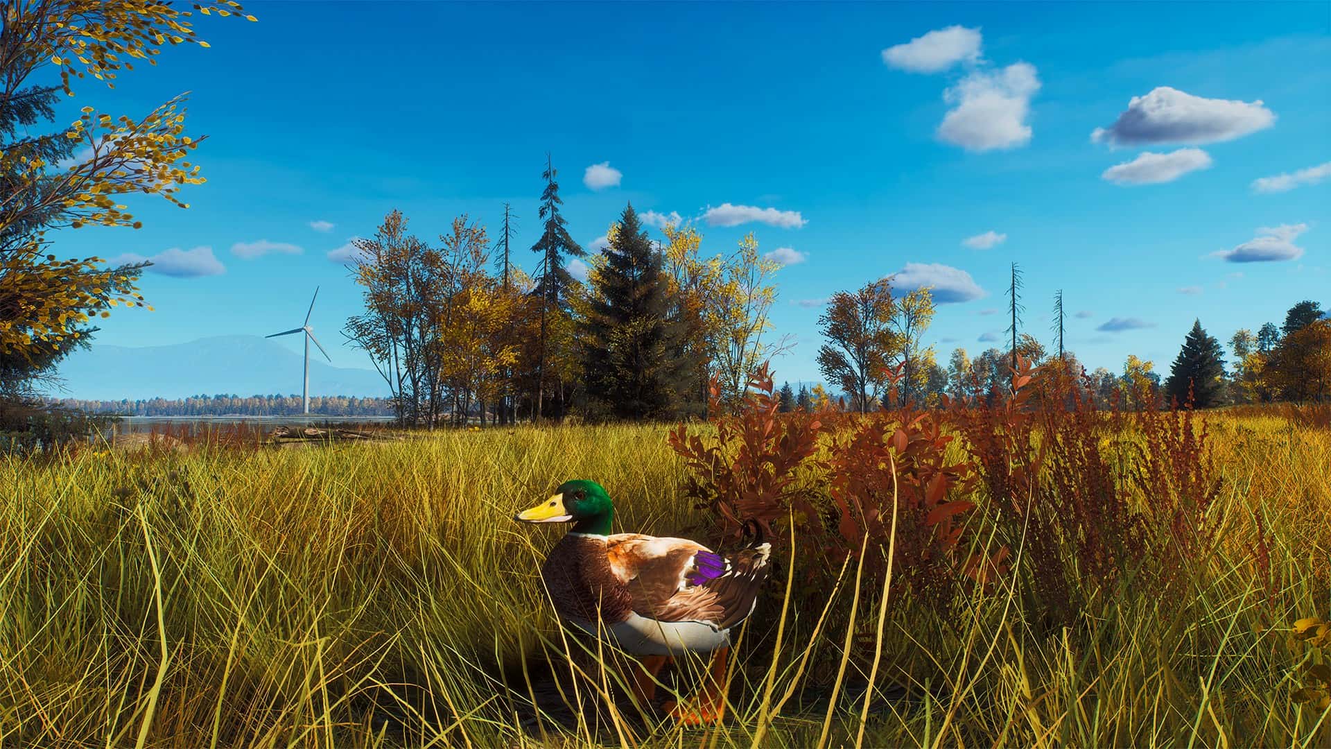 #7. Way of the Hunter - Lintukoto Reserve (GOG) 由: THQ Nordic GmbH