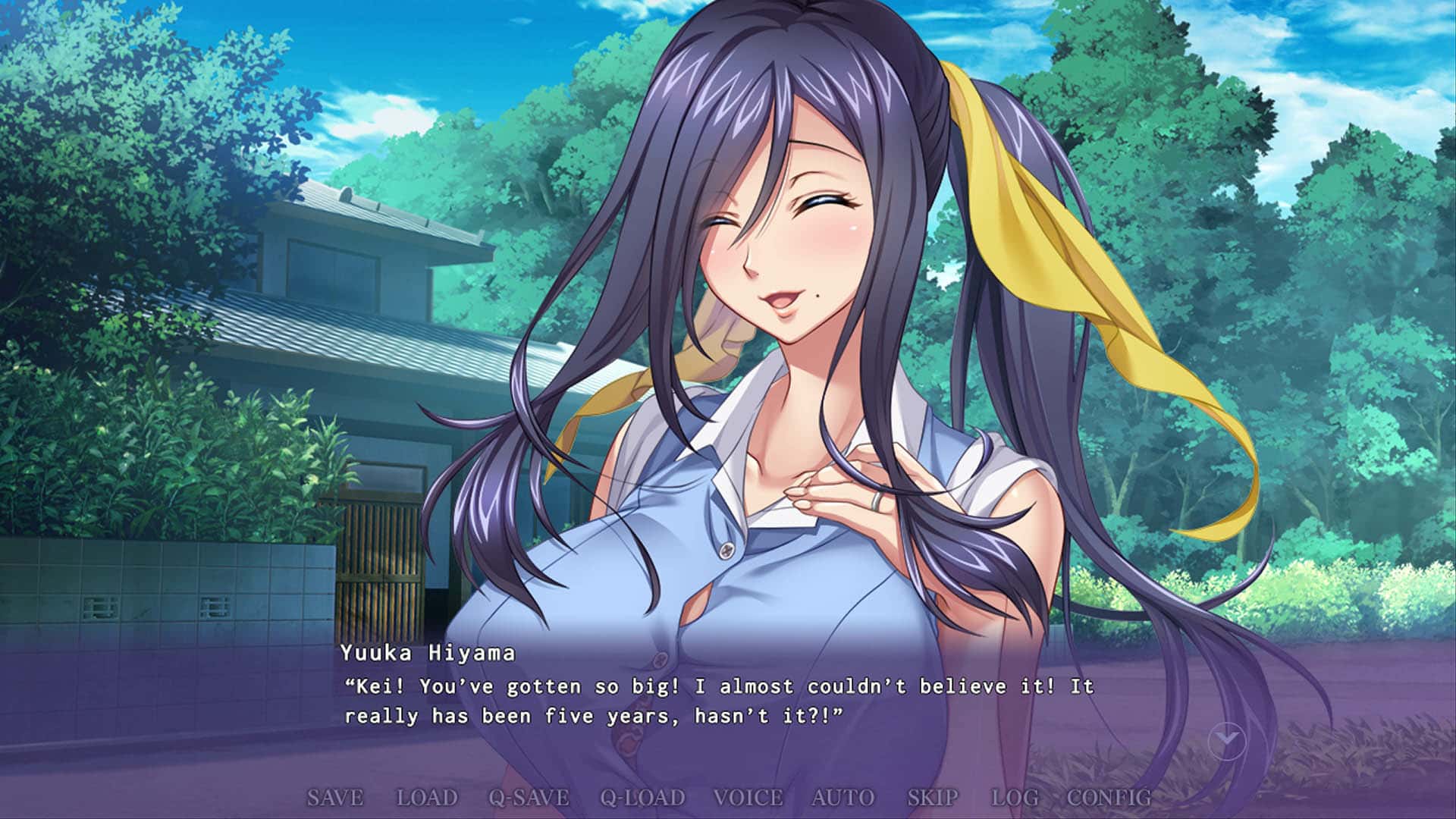 #4. An Aunt After My Own Heart (GOG) Bởi: Shiravune