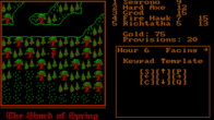 Shard of Spring screenshot 5