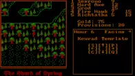 Shard of Spring screenshot 5
