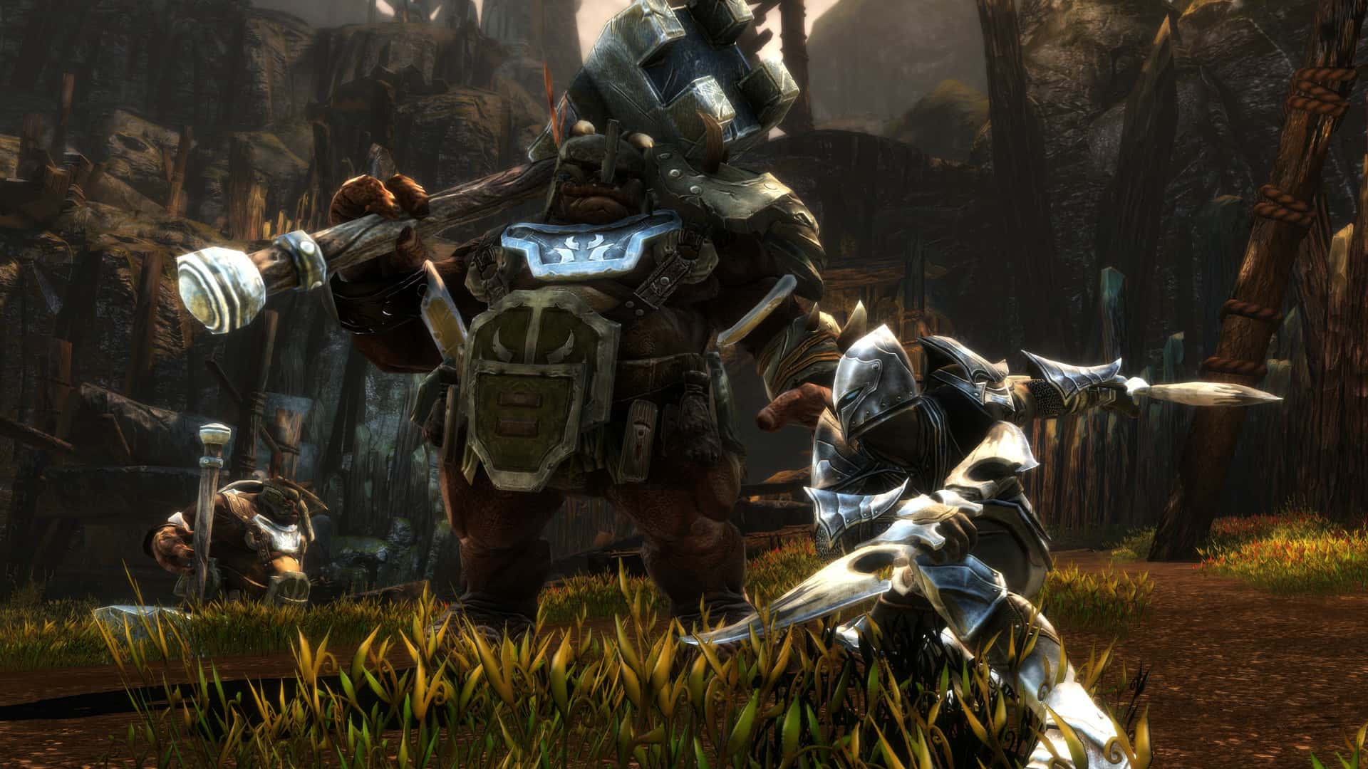 #2. Kingdoms of Amalur: Re-Reckoning (GOG) 由: THQ Nordic GmbH