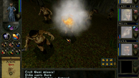 Wizards & Warriors screenshot 5
