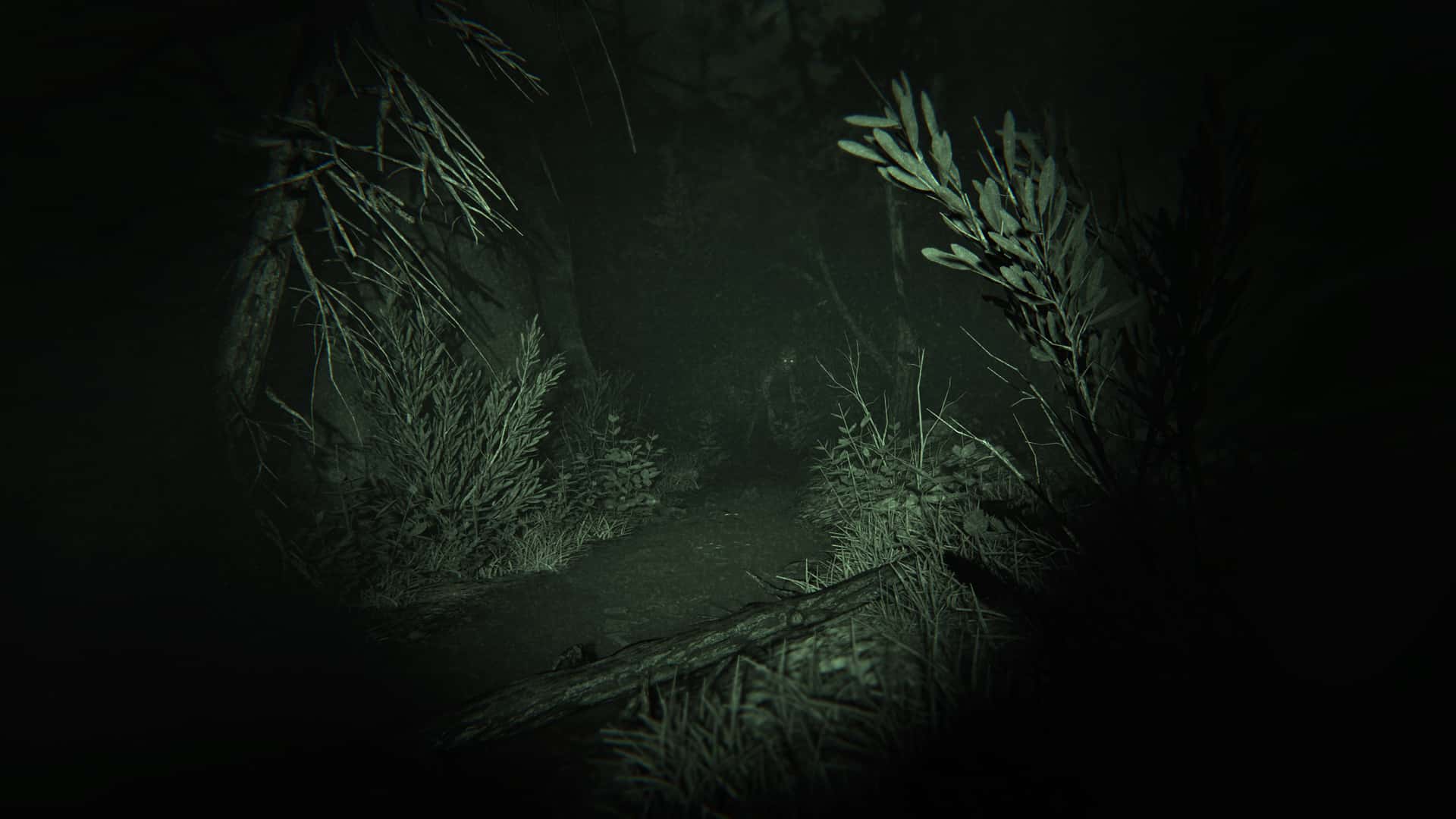#1. Outlast 2 (GOG) 由: Red Barrels