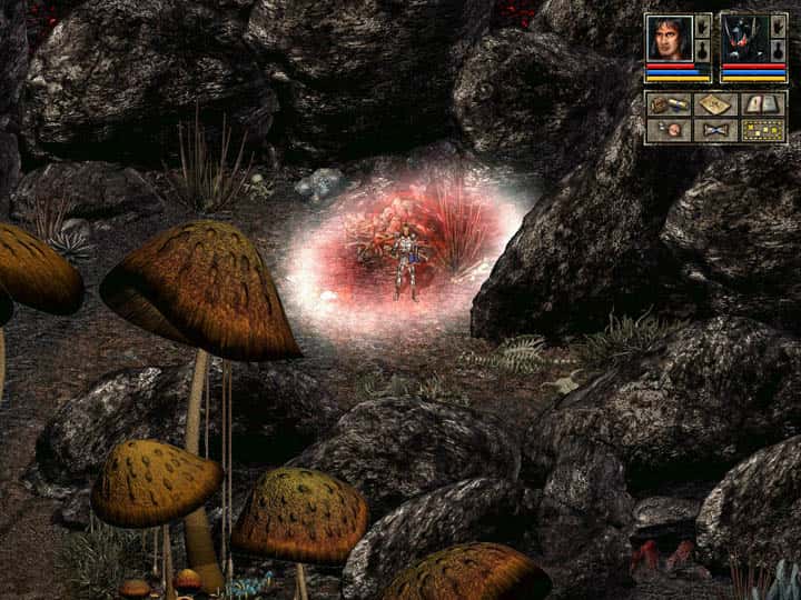 #6. Beyond Divinity (GOG) От: Larian Studios