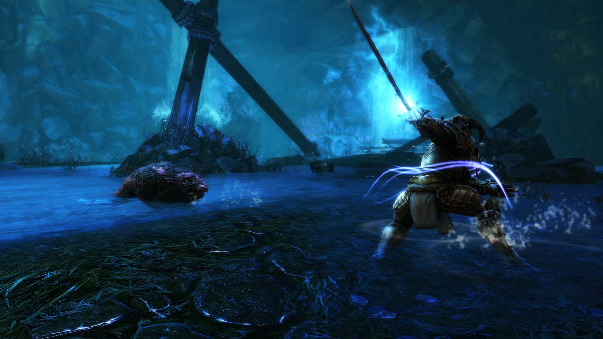 #4. Kingdoms of Amalur: Re-Reckoning (GOG) 由: THQ Nordic GmbH