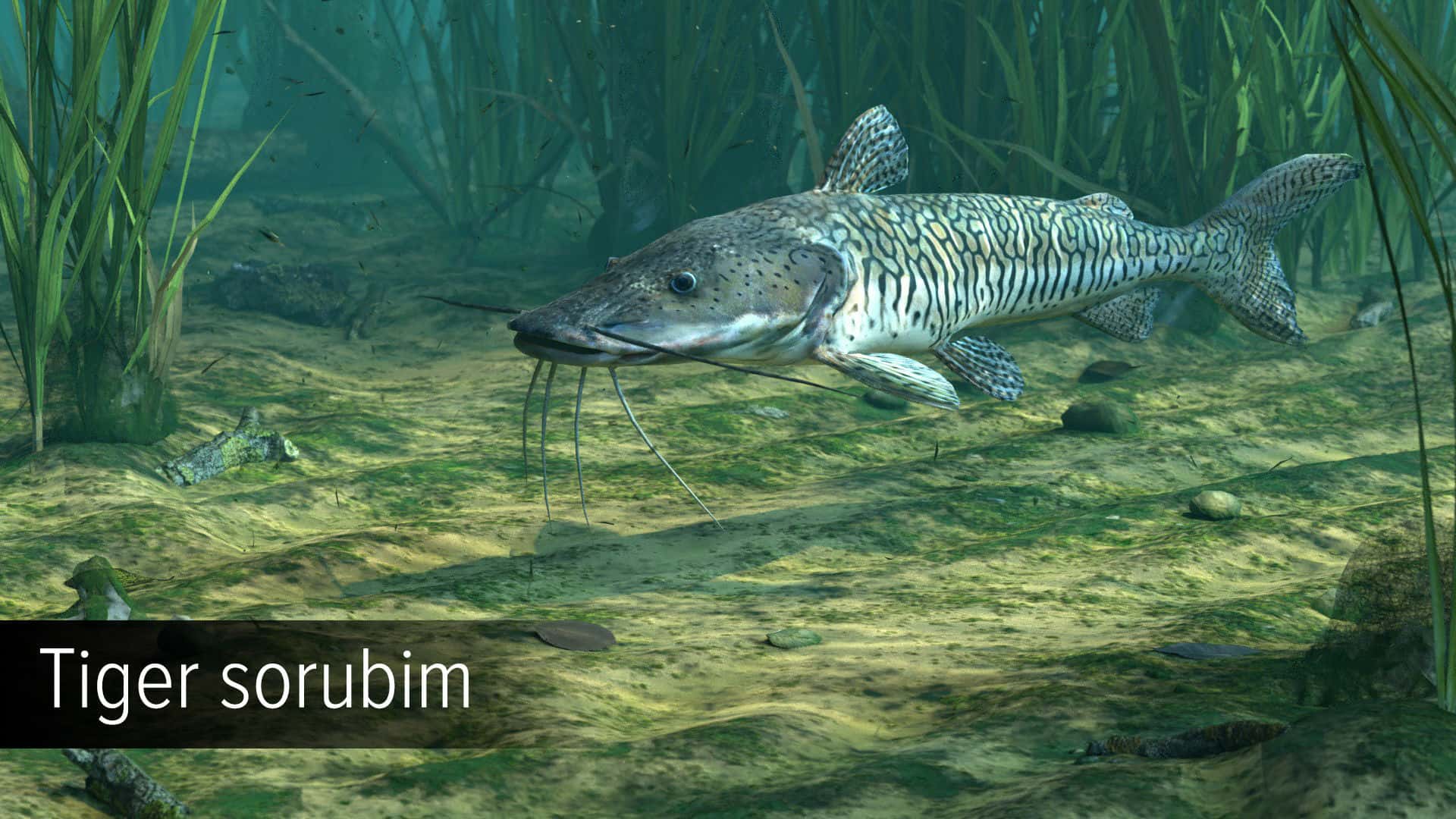 #6. Ultimate Fishing Simulator - Amazon River DLC (GOG) 由: Ultimate Games S.A.