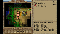 Worlds of Ultima™: The Savage Empire screenshot 3