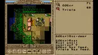 Worlds of Ultima™: The Savage Empire screenshot 3