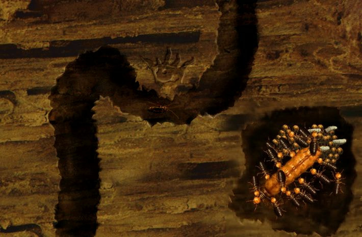 Bad Mojo Redux screenshot screenshot 4