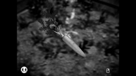 HORSES screenshot 5