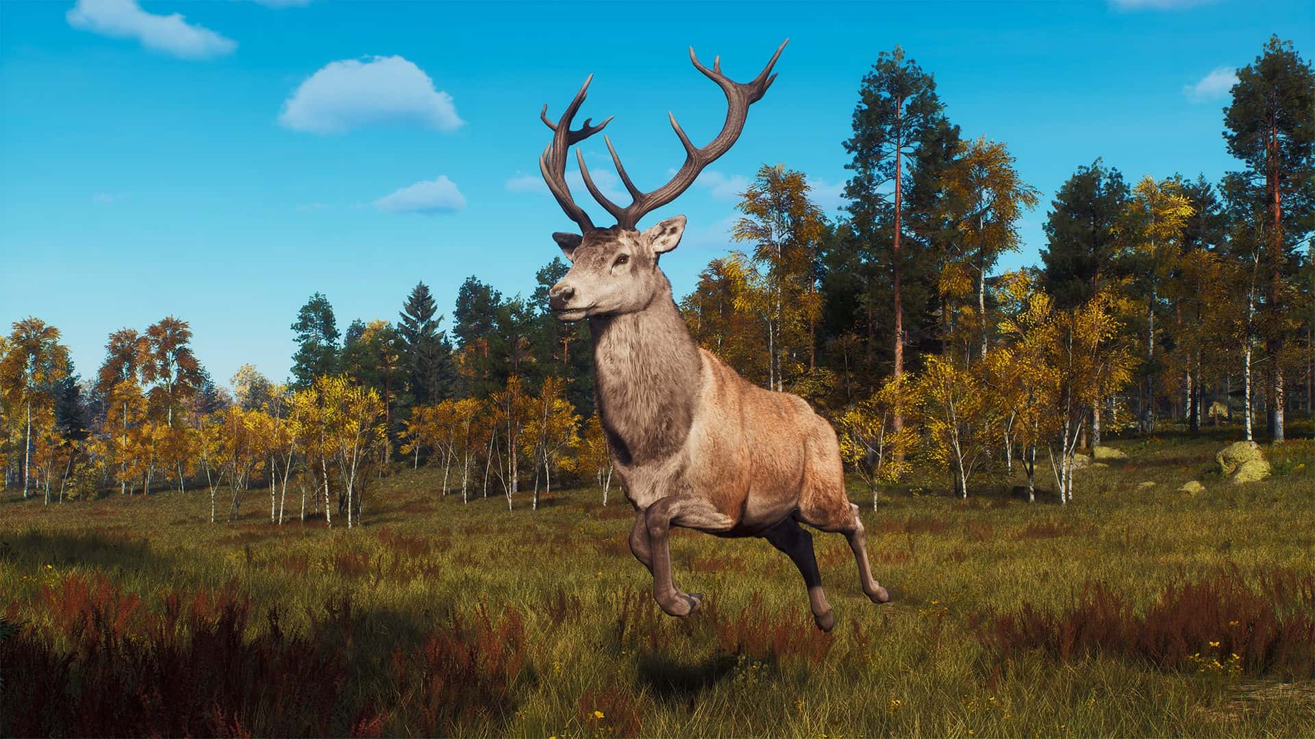 #5. Way of the Hunter - Lintukoto Reserve (GOG) 由: THQ Nordic GmbH