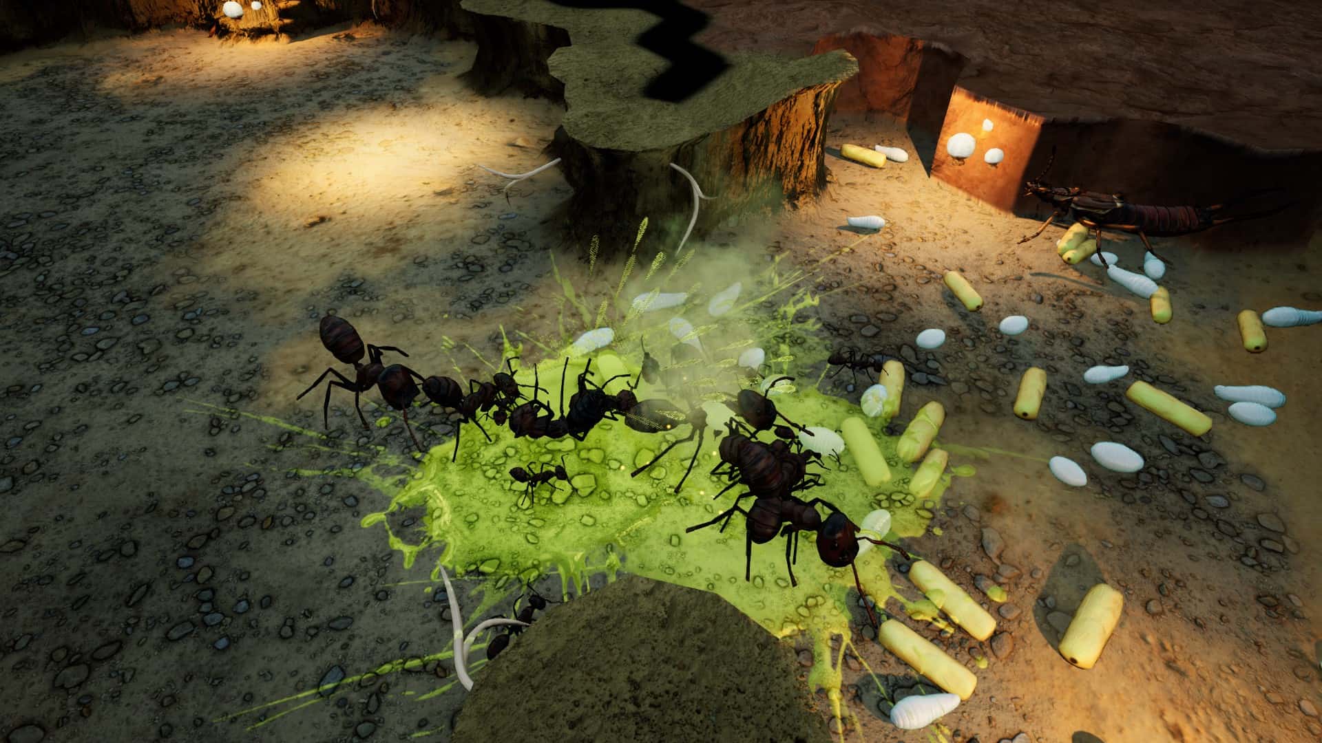 #2. Empires of the Undergrowth - Exploding Ants (GOG) โดย: Hooded Horse