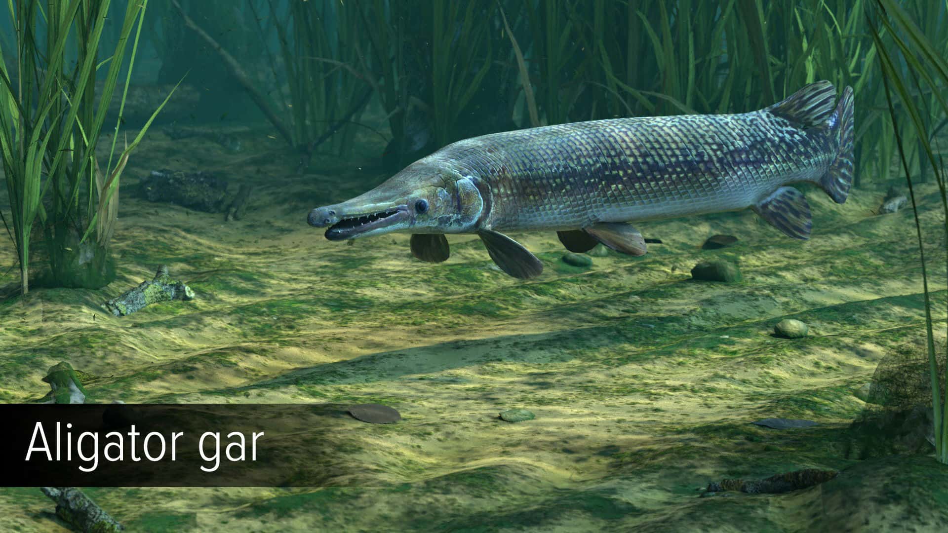 #4. Ultimate Fishing Simulator - Amazon River DLC (GOG) 由: Ultimate Games S.A.