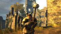 Drakensang screenshot 12