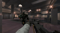 RealRTCW screenshot 7