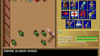 Spelljammer: Pirates of Realmspace screenshot 2