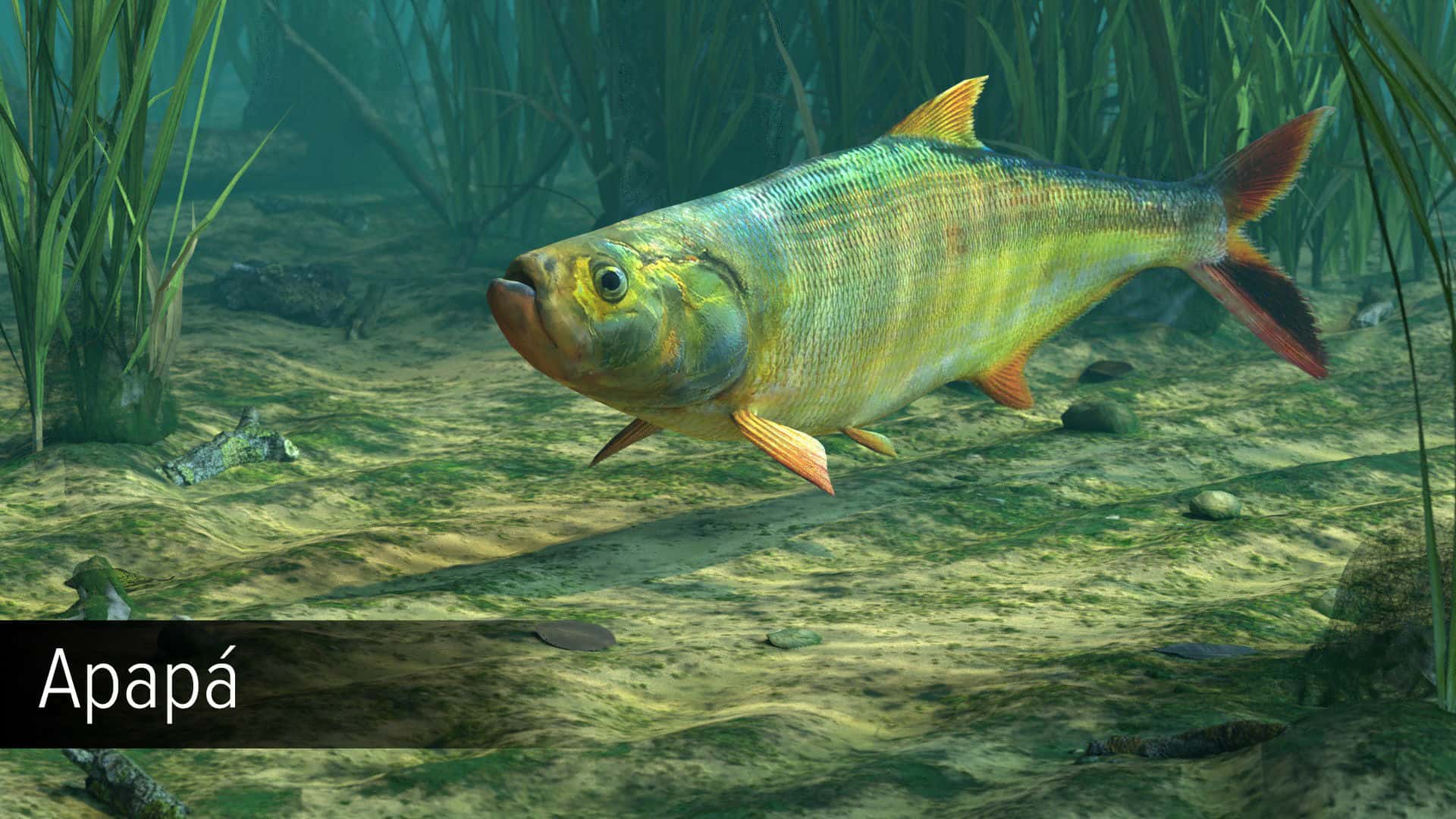 #1. Ultimate Fishing Simulator - Amazon River DLC (GOG) 由: Ultimate Games S.A.