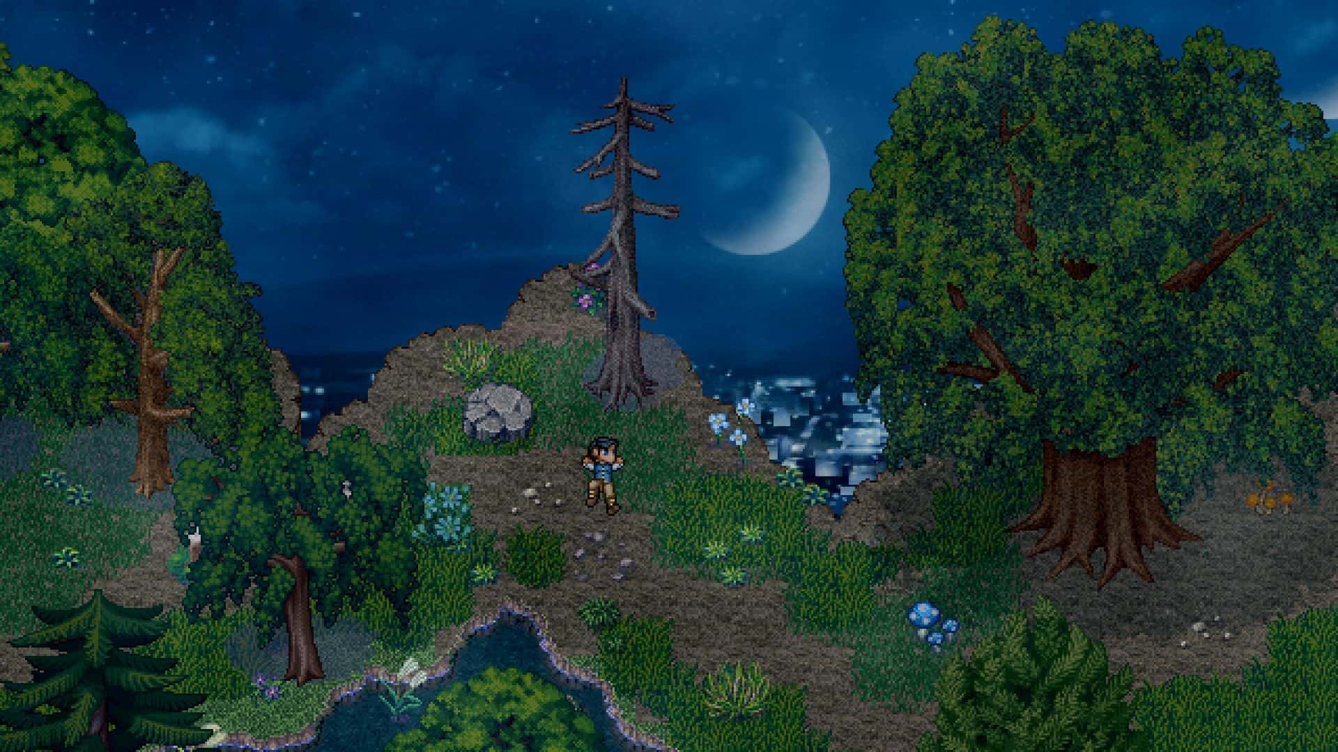 #3. Finding Paradise Soundtrack (GOG) Bởi: Freebird Games
