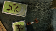 Bad Mojo Redux screenshot 3