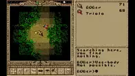 Worlds of Ultima™: The Savage Empire screenshot 2