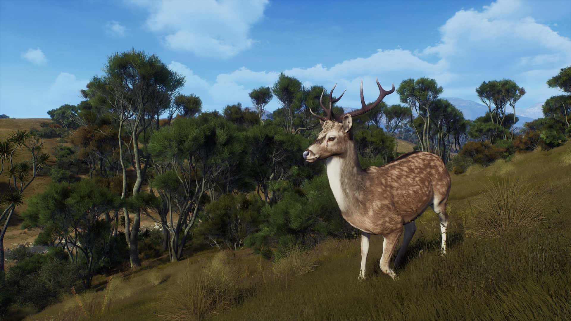 #10. Way of the Hunter – Matariki Park (GOG) Podle: THQ Nordic GmbH