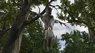 Return to Mysterious Island screenshot 11