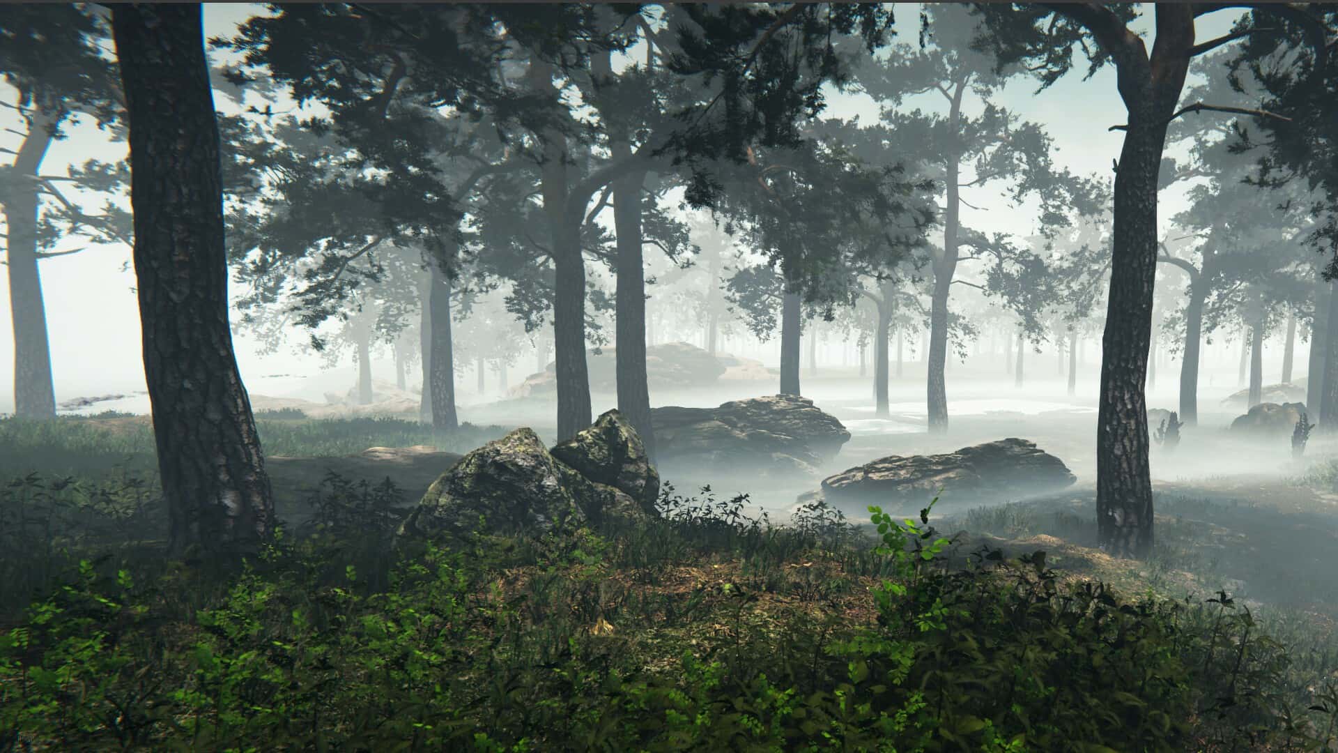 #3. Nested Lands (GOG) 由: META Publishing
