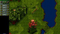 Cannon Fodder screenshot 10