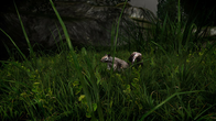 Miasmata screenshot 9