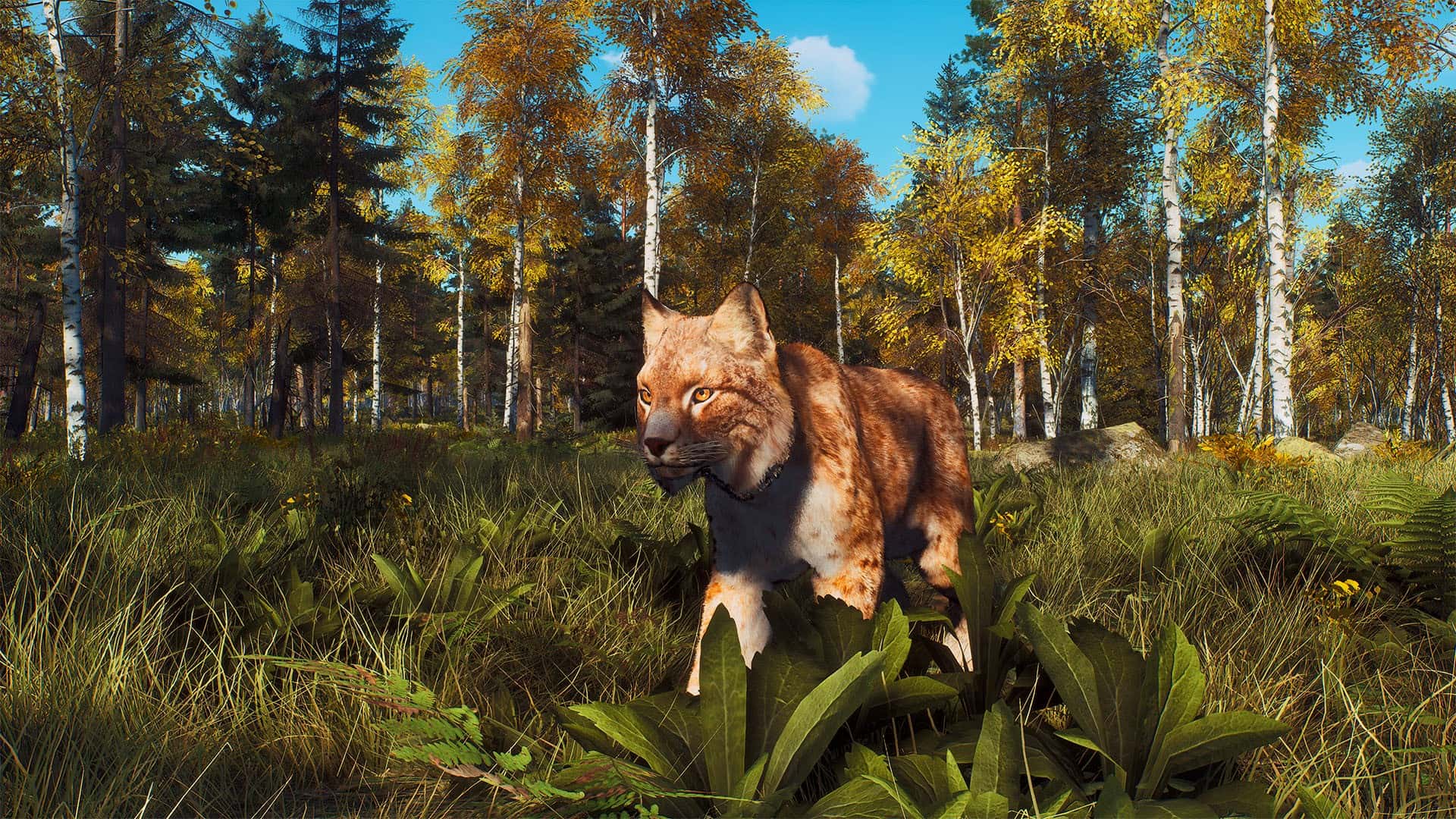 #2. Way of the Hunter - Lintukoto Reserve (GOG) 由: THQ Nordic GmbH