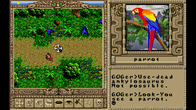 Worlds of Ultima™: The Savage Empire screenshot 6