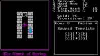 Shard of Spring screenshot 6