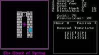 Shard of Spring screenshot 6