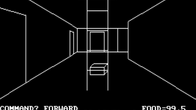 Akalabeth: World of Doom screenshot 2